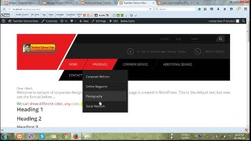 Responsive WordPress Theme for Small Business, 10