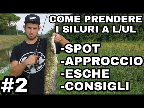 Video: Perché i siluri sono così efficaci?