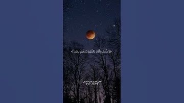 الشيخ ماهر المعيقلي.                  ( الآية 54 الأعراف )