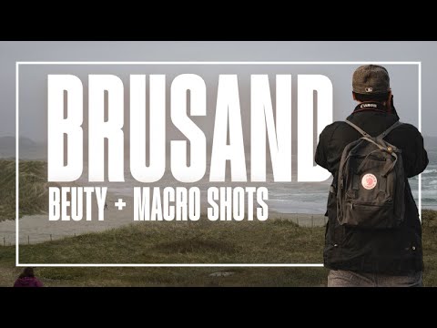 Brusand Beuty In Macro - Sony A7RV + FE F2.8 90mm Macro G OSS