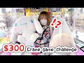 JAPAN $300 CRANE GAME CHALLENGE!!!