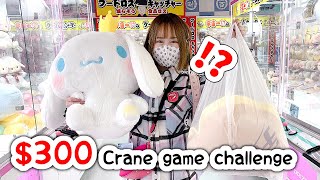 JAPAN $300 CRANE GAME CHALLENGE!!!