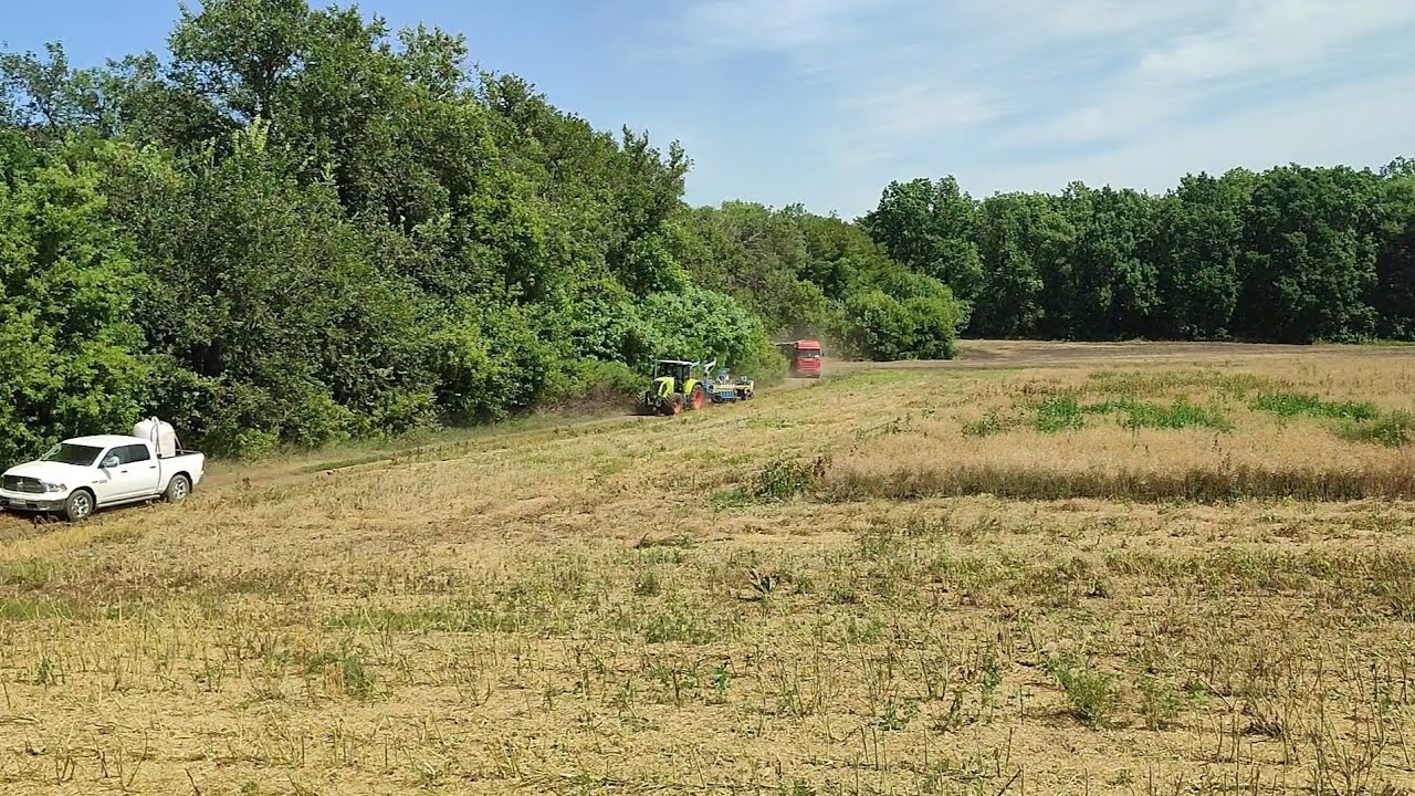 Жнива і посівна на одному полі. ???? - YouTube