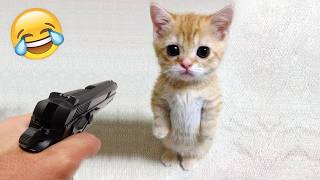 Funniest Cats and Dogs Clips 2026😼🐶Try Not To Laugh😜 Part 8