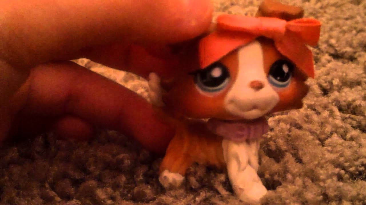 lps:for lps meow lps meow - YouTube