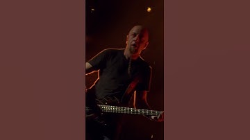 @sicknewworldfest 2023 official recap out now. #systemofadown #sicknewworld