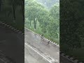 #raining#campus#nature#iiitsonepat