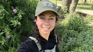Garden Tour! (Texas Herbs, Roses, & Natives, Oh my!) + quick propagations ✂️🌱