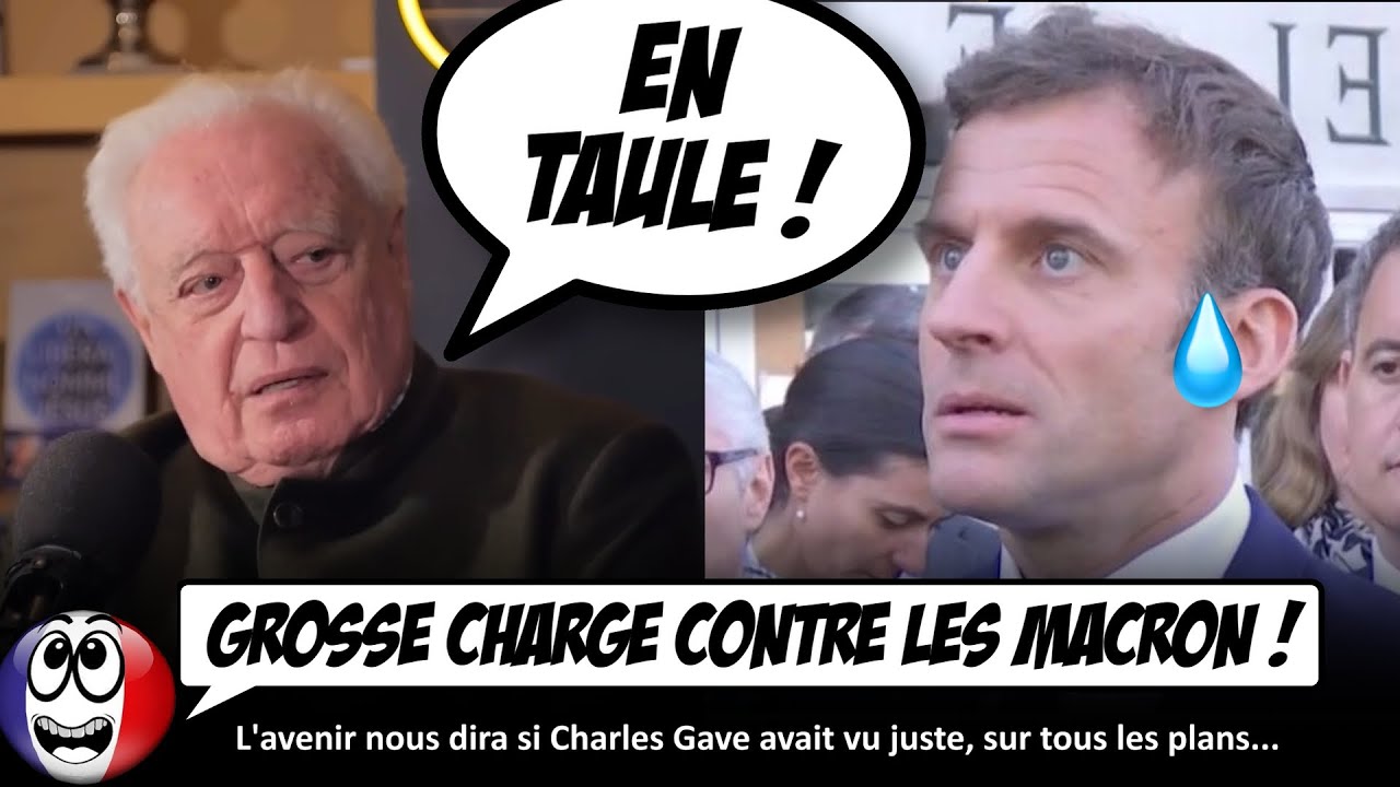 ⁣Manu et Brigitte se font ÉTRILLER par l'économiste Charles Gave. Ça va même très loin...