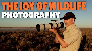 Wildlife Photography is GOOD for the SOUL!