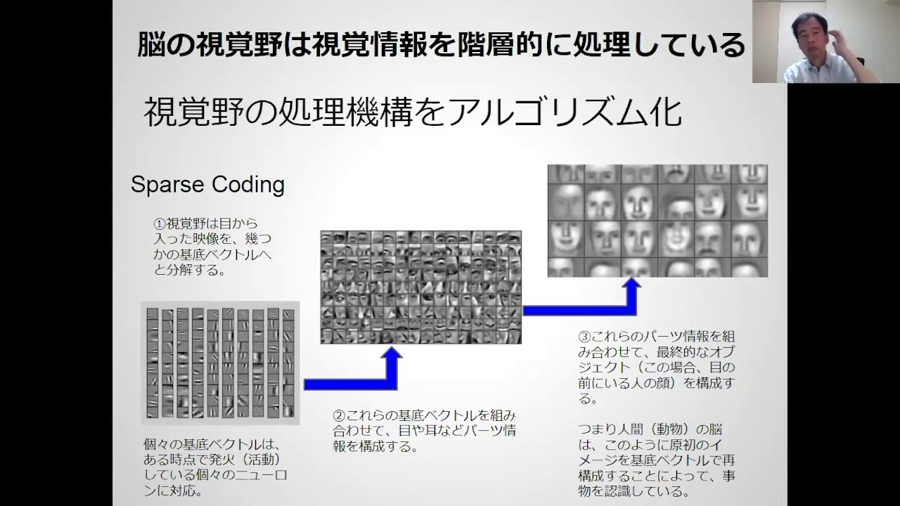 2 16 脳の視覚野と研究成果 Youtube