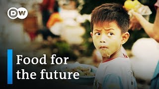 Indonesia: food for the future - Founders Valley (6/10) | DW Documentary Indonesia: food for the future - Founders Valley (6/10) | DW Documentary