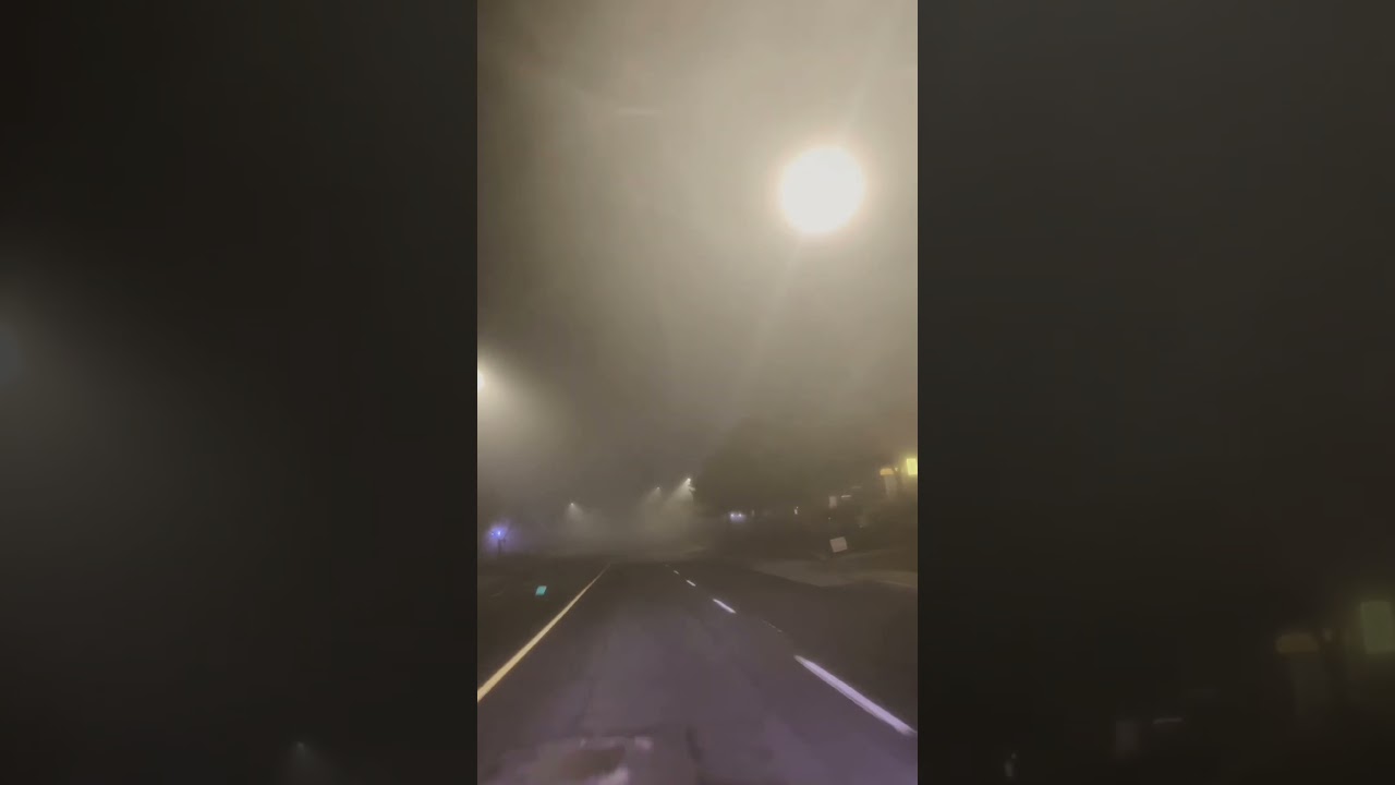 Lost in the fog of Toronto.🌫️