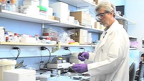 Sample Collection for Metabolomics