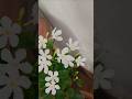 ✨💫#yt #trending#samantha #danush#telugu#shortvideos #nature#birds#flowers #viralvideos#meems#shorts