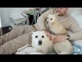 두 강아지와 함께 사는 겨울 한옥 이야기 | 진돗개 팸 vlog