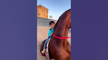 طفل يركب الخيل 