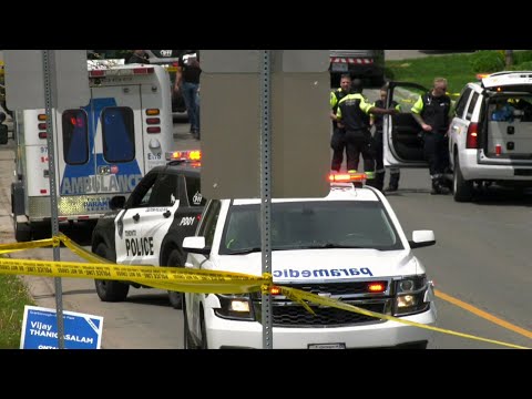 Man carrying air rifle near Toronto elementary school shot dead