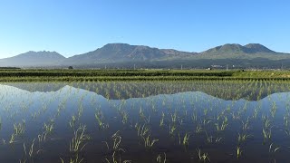 水鏡に映る「逆さ涅槃像」　熊本県阿蘇市