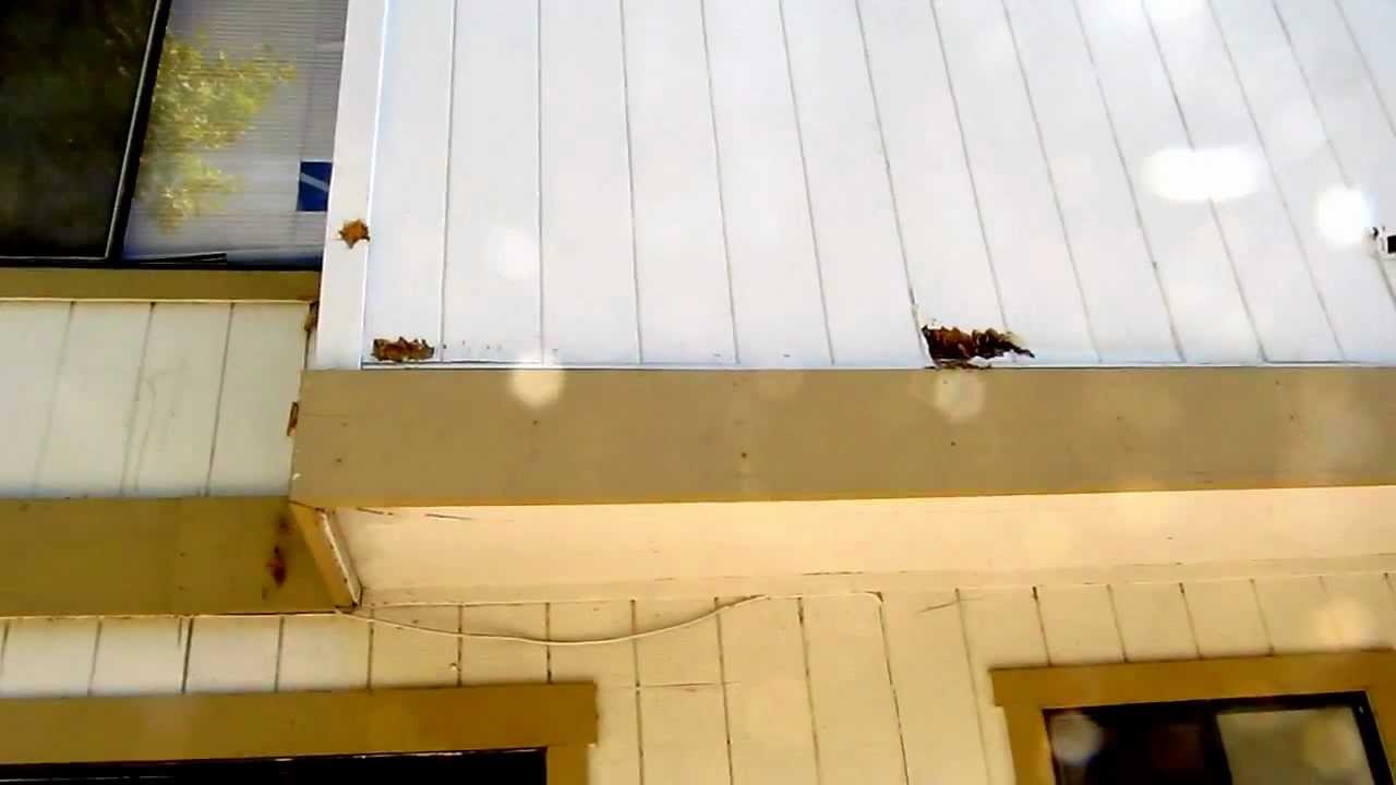 Dry Rot Repair Contractor 2nd Floor San Francisco Bay Area Golden Gate Enterprises