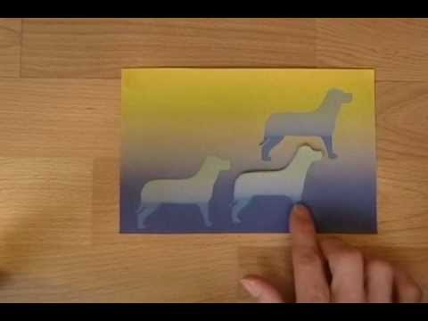 Shady Optical Illusion 5: Mad Dogs