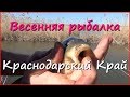 Рыбалка на поплавочную удочку в зарослях камыша