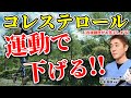 コレステロールは運動で下がる!! 意外と知らない善玉コレステロールと悪玉コレステロールの関係性 教えて、平島先生 No155