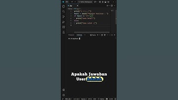 Benar Atau Salah #skysen #coding #code #python