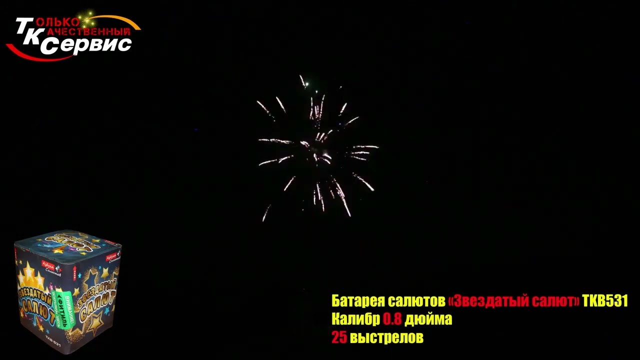 Салют TKB531 1 ЗВЕЗДАТЫЙ САЛЮТ 25 выстрелов 0,8 калибра ТК Сервис