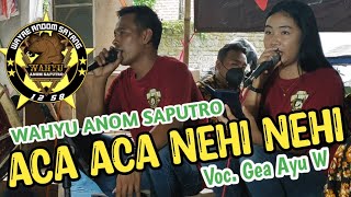 ACA ACA NEHI NEHI COVER JARANAN WAHYU ANOM SAPUTRO VOC. GEA AYU W