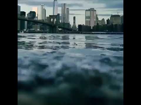 LFERDA RESPECT Clip Officiel 