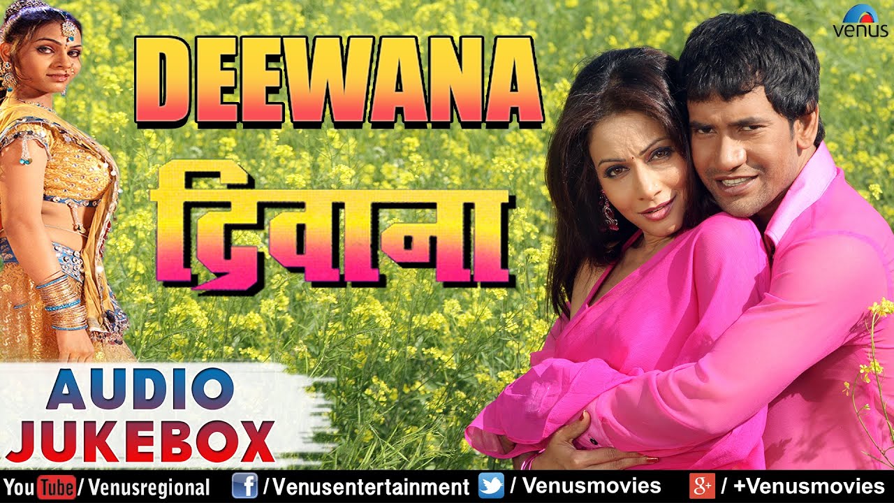 Tu Meri Shabana Main Tera Deewana Deewana Nirahua Ke