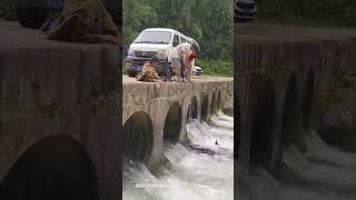 A thrilling scene by the bridge! Tightening grip on the bridge's edge, seeking rescue.#kindness  #in