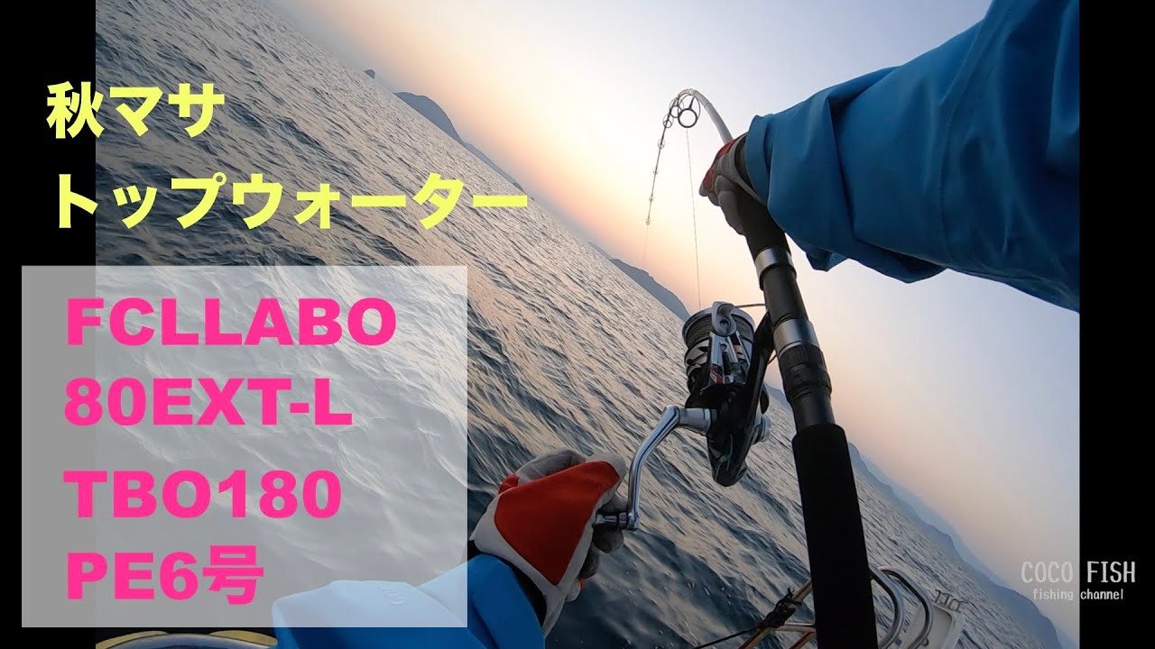 秋マサ FCLLABO 80EXT-L 10kgオーバーばらし