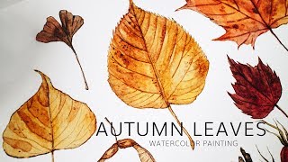 Autumn leaves painting · Fall season nature watercolor illustration time lapse