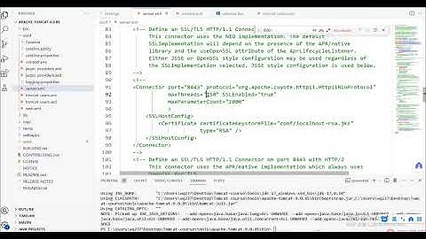 Apache Tomcat 系统精讲 Java面试必备课程
