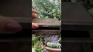 Making an Epoxy Resin Photo Box 💖 Easy diy
