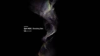 Sam KDC | False Idols [Auxiliary 2022]
