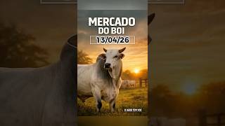 Mercado do Boi #oagrotemvoz #gado #mercadoagricola #pecuarista #agro
