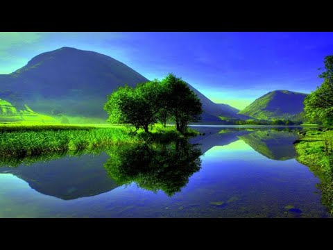 Reflections by Robert D. Vandall