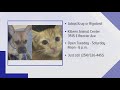 Perfect Pet: Meet Krug and Rigatoni!