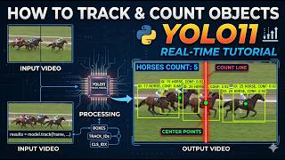 How to Track and Count Objects Using YOLO11
