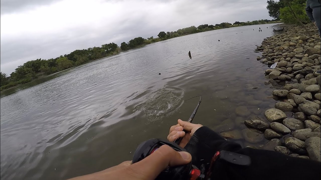 A Rainy Day on the Sacramento River(Bank fishing for Stripers) - YouTube