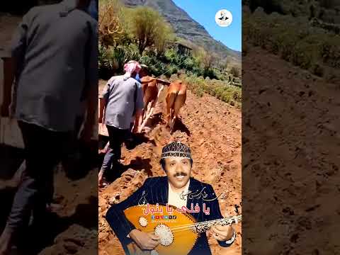 أيوب طارش: يا فتى يا بتول