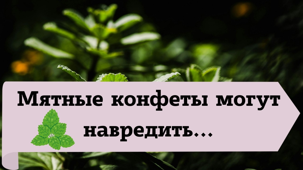 Мятные конфеты могут навредить: кому нельзя их есть
