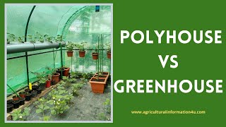 Difference between Polyhouse and Greenhouse | Polyhouse Vs Greenhouse | Modern farming methods