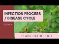 Infection process  disease cycle   plant pathology terminology  lecture 4