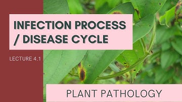 Infection process / Disease cycle  | Plant Pathology Terminology | Lecture 4