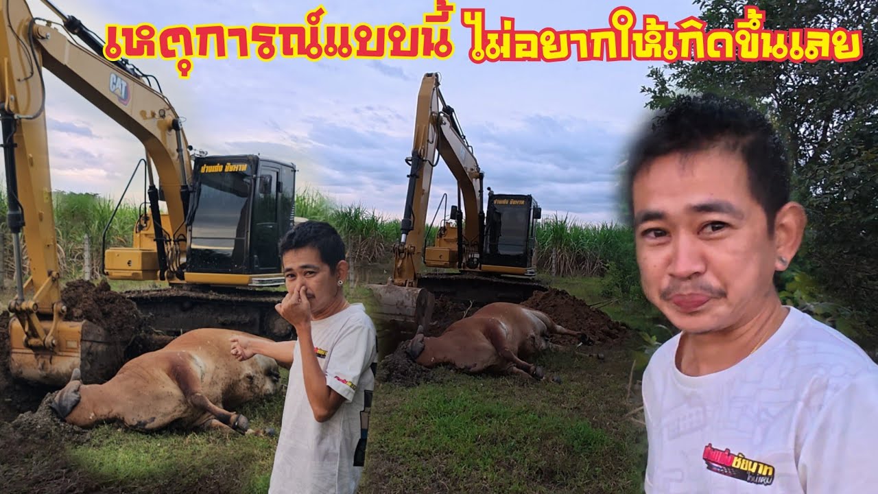 งานที่ไม่ยากทำ