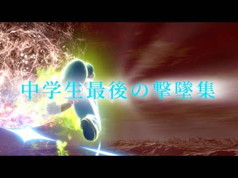【スマブラSP】中学生最後の本気のマリオ撃墜集